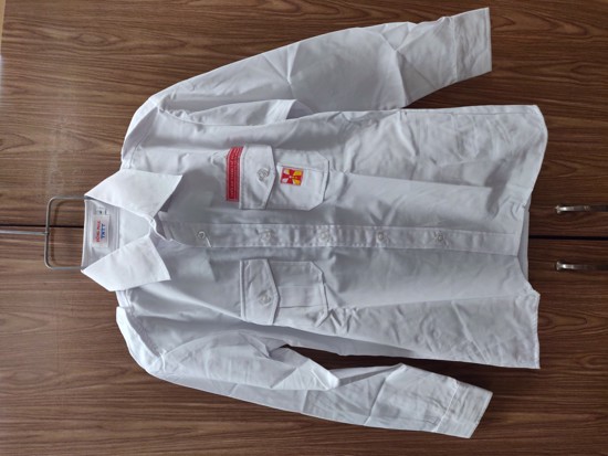 Picture of Shirt (long sleeve)